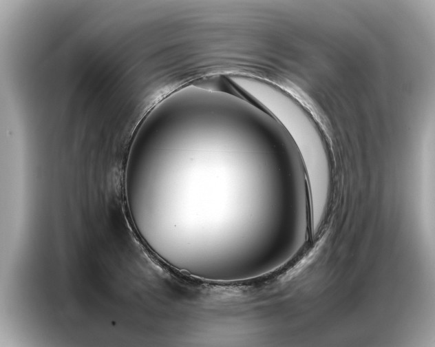 X0000087360993200704271434