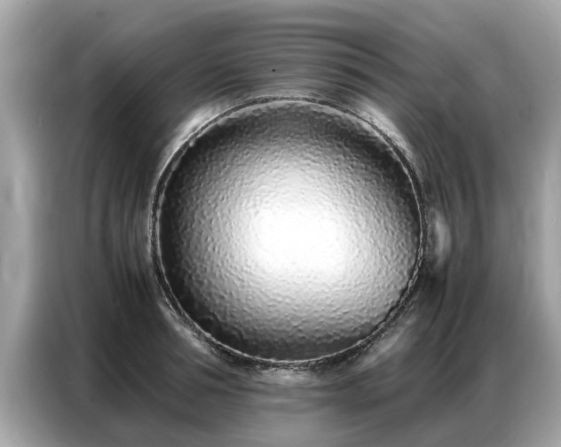 X0000087360994200704271434