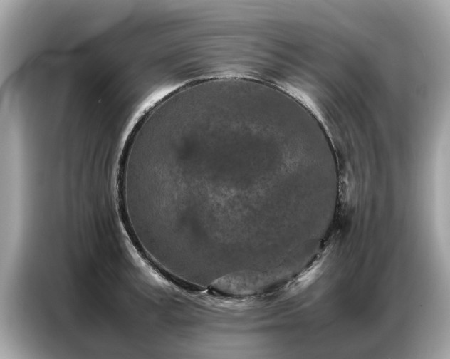 X0000087360995200704271434