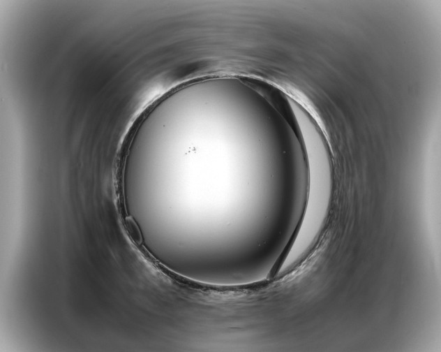 X0000087360997200704271434