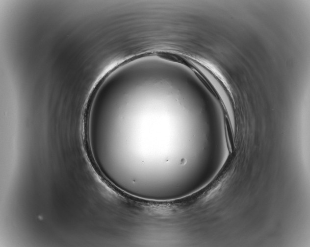 X0000087360999200704271434