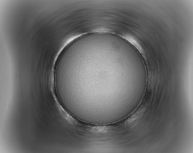 X0000087361000200704271434