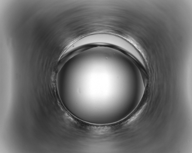 X0000087361001200704271434