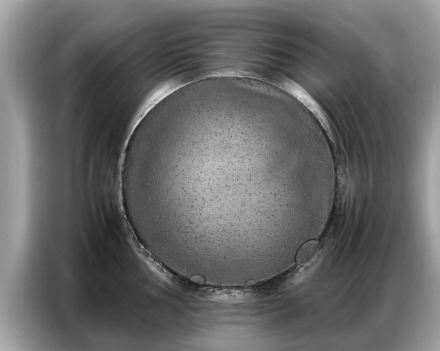 X0000087361002200704271434