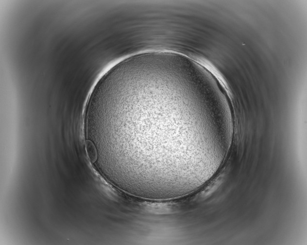 X0000087361004200704271434