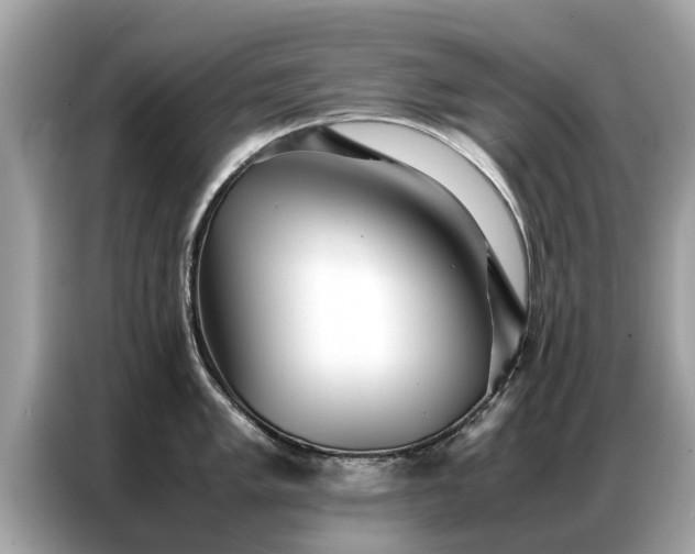 X0000087361005200704271434