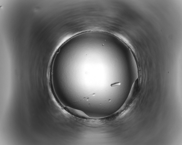 X0000087361007200704271434