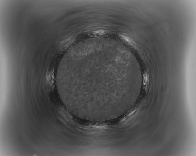 X0000087361011200704271433