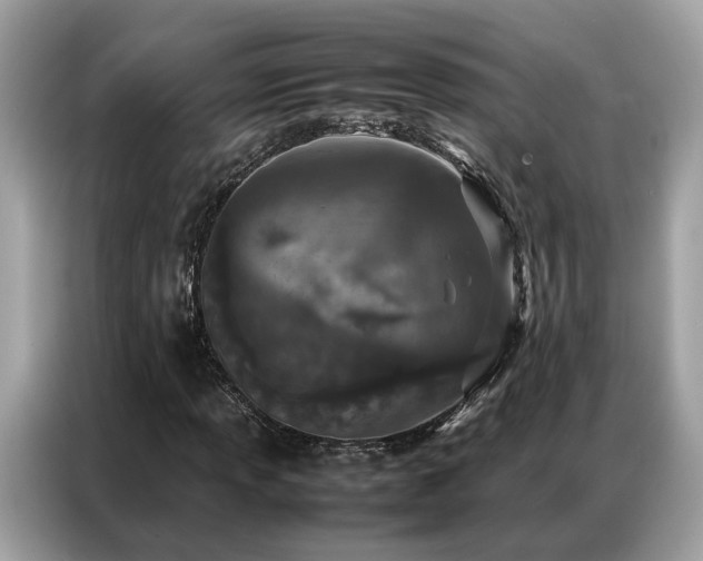 X0000087361013200704271433