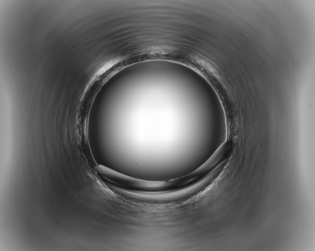 X0000087361018200704271433