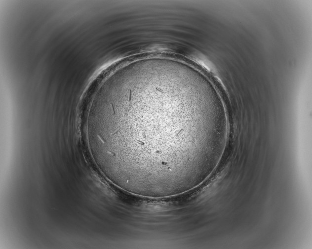 X0000087361019200704271433