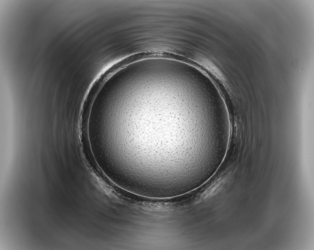X0000087361020200704271433