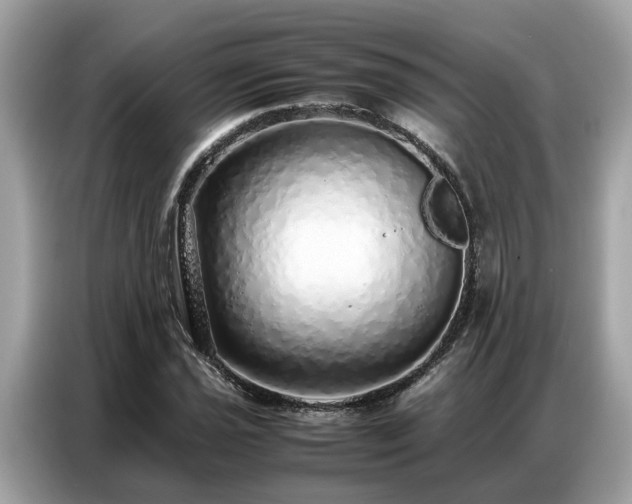 X0000087361021200704271433