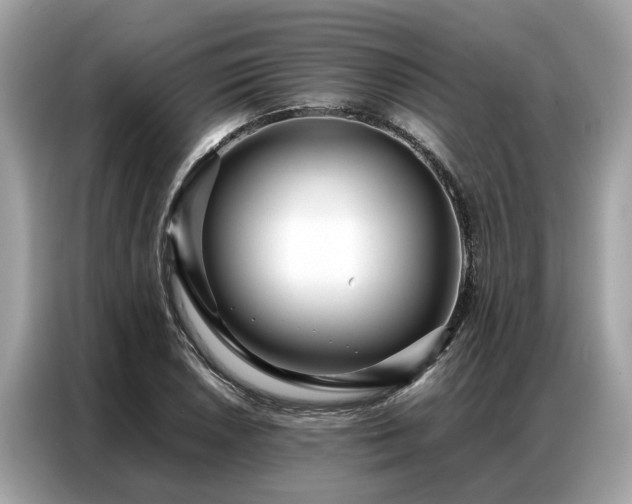 X0000087361026200704271433