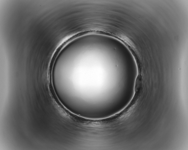 X0000087361028200704271433