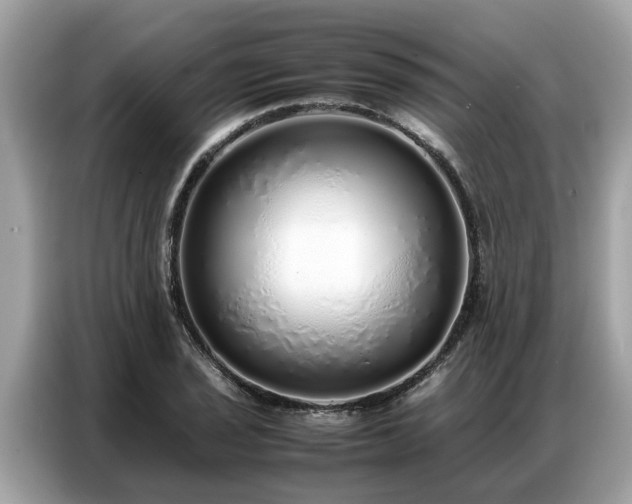 X0000087361029200704271433