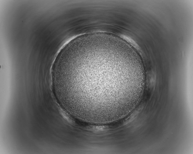 X0000087361031200704271433