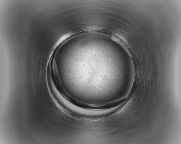 X0000087361034200704271433