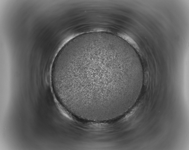 X0000087361039200704271433