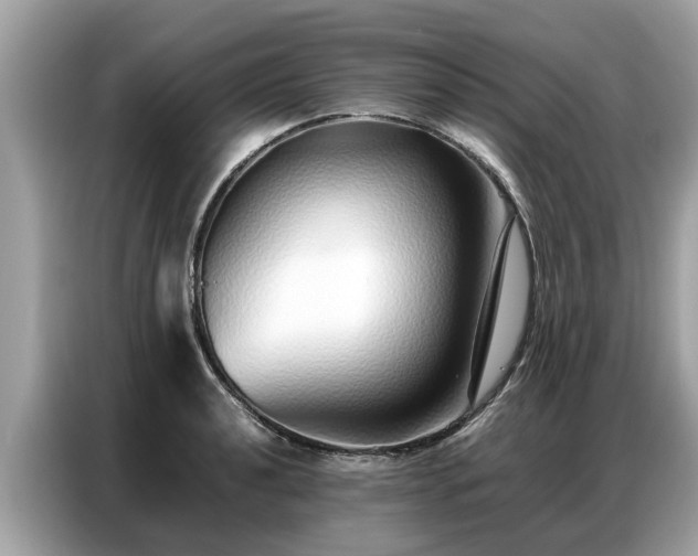 X0000087361040200704271433