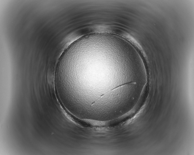 X0000087361041200704271433