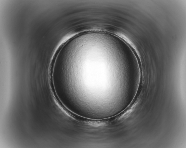 X0000087361045200704271433