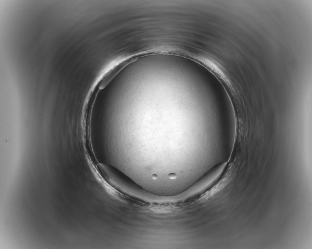 X0000087361046200704271434
