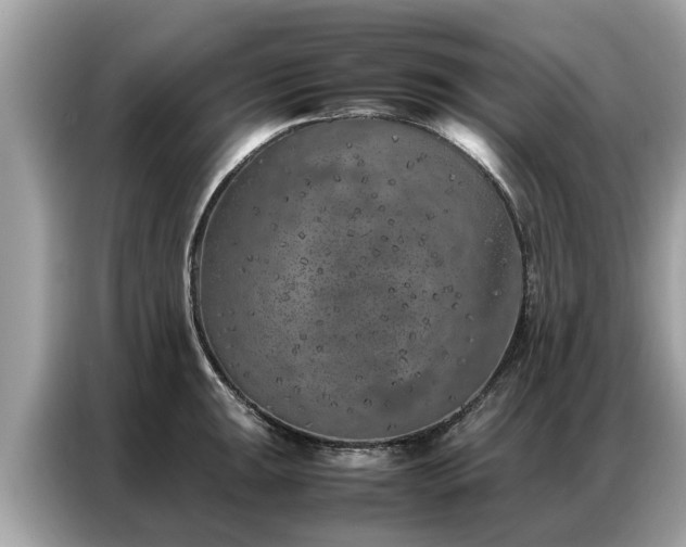 X0000087361047200704271434