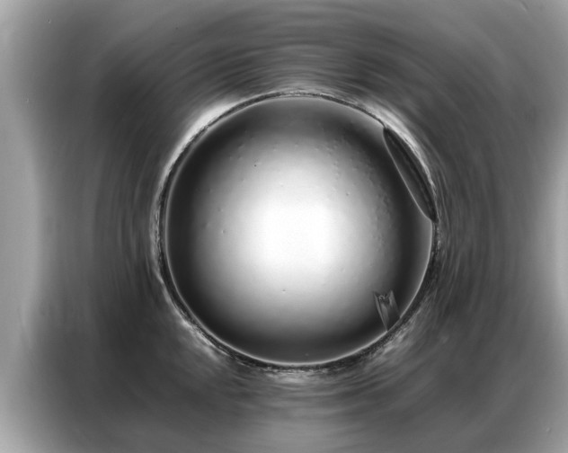 X0000087361048200704271434