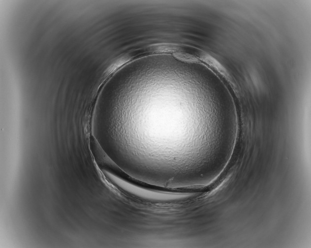 X0000087361049200704271434