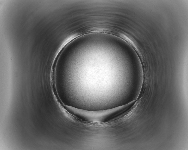 X0000087361050200704271434