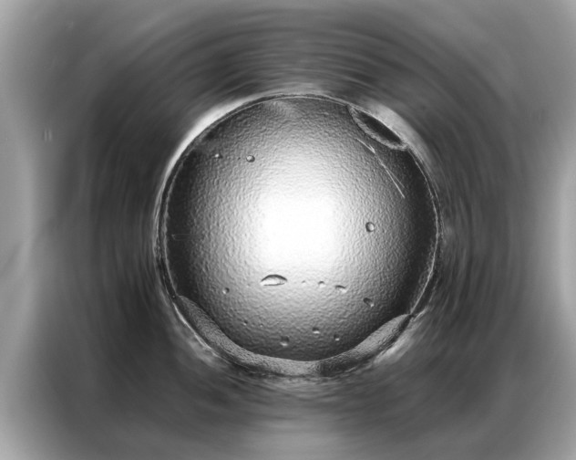 X0000087361052200704271434
