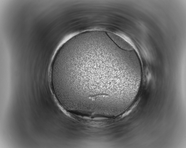 X0000087361053200704271434