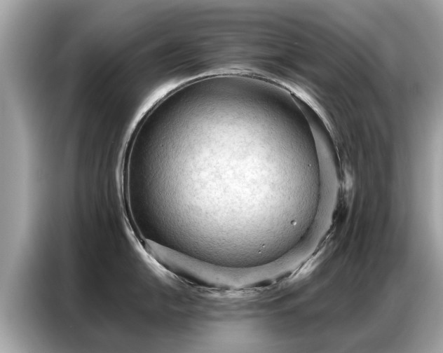 X0000087361054200704271434