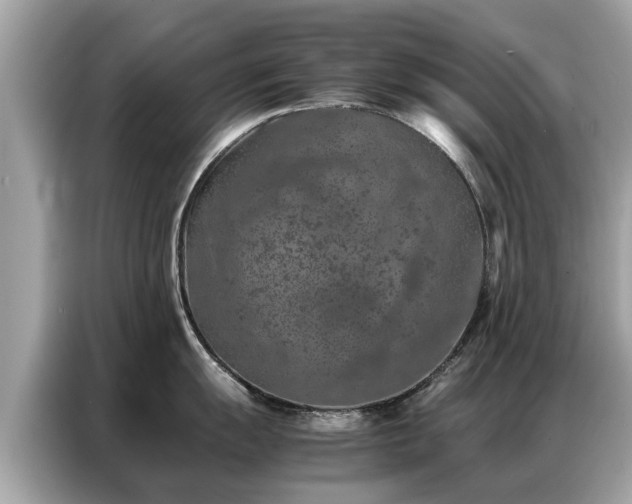 X0000087361055200704271434