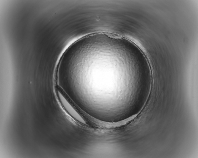 X0000087361056200704271434
