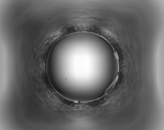 X0000087361061200704271433