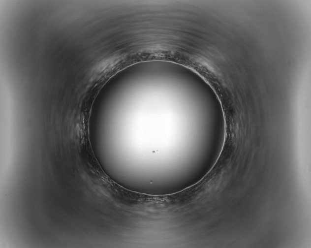 X0000087361062200704271433