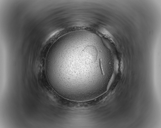 X0000087361064200704271433