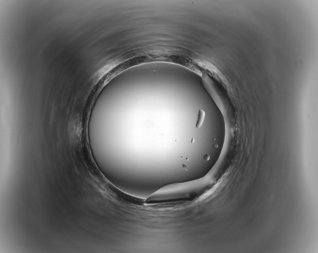 X0000087361065200704271433