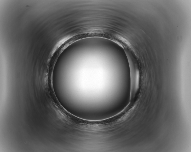 X0000087361066200704271433