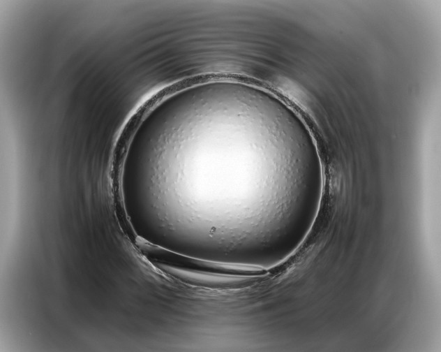 X0000087361068200704271433