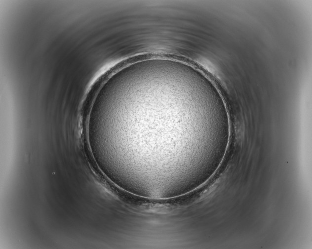 X0000087361070200704271433