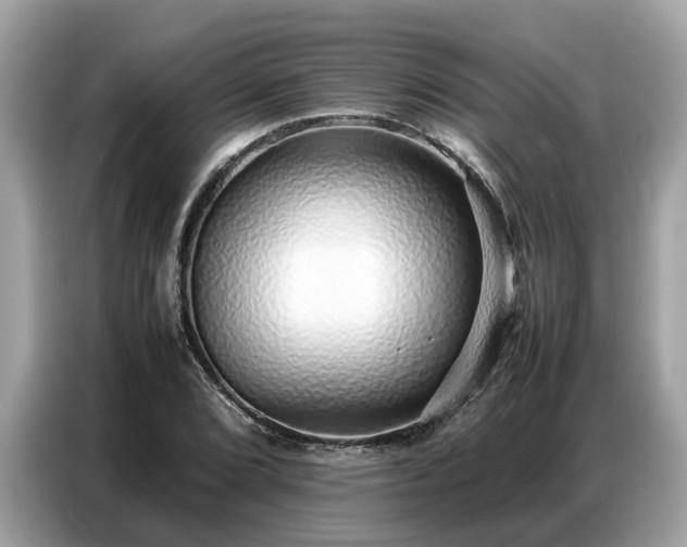 X0000087361072200704271433