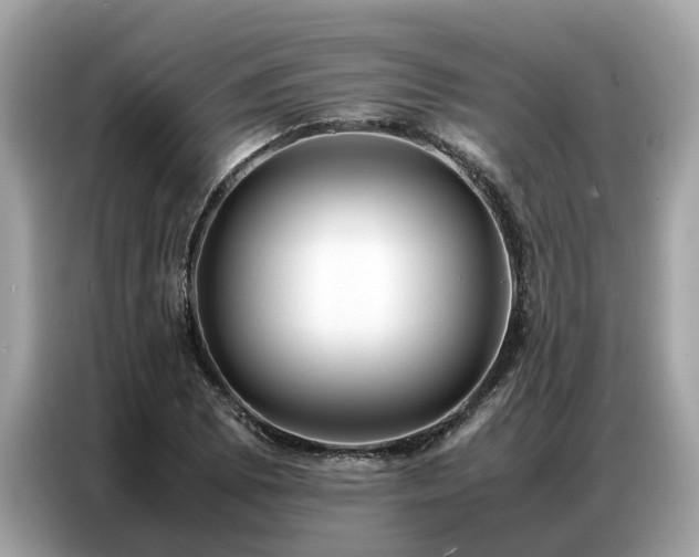 X0000087361073200704271433