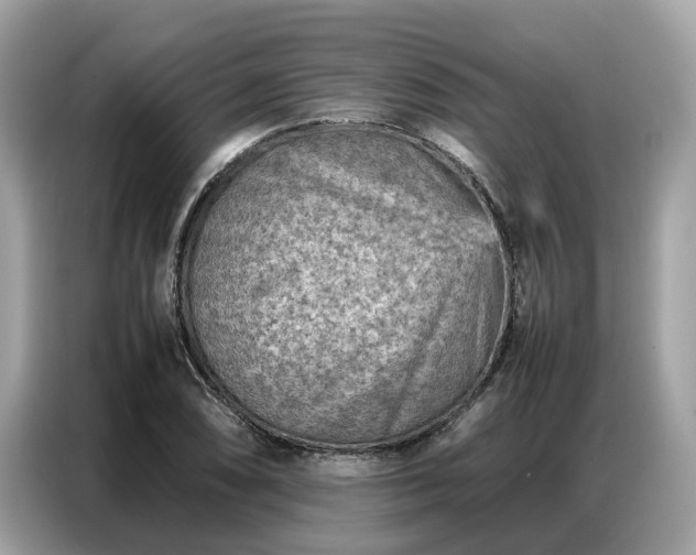 X0000087361074200704271433