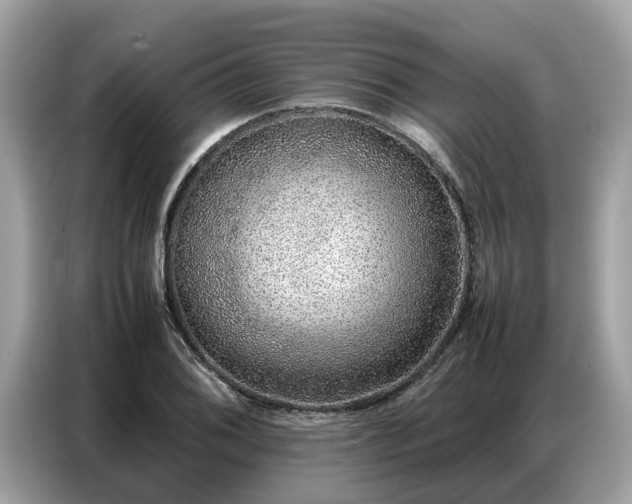 X0000087361076200704271433