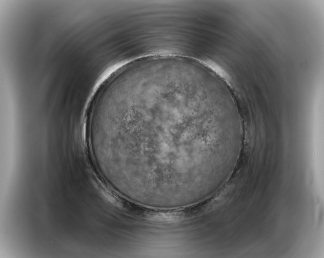 X0000087361078200704271433