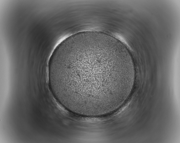 X0000087361079200704271433