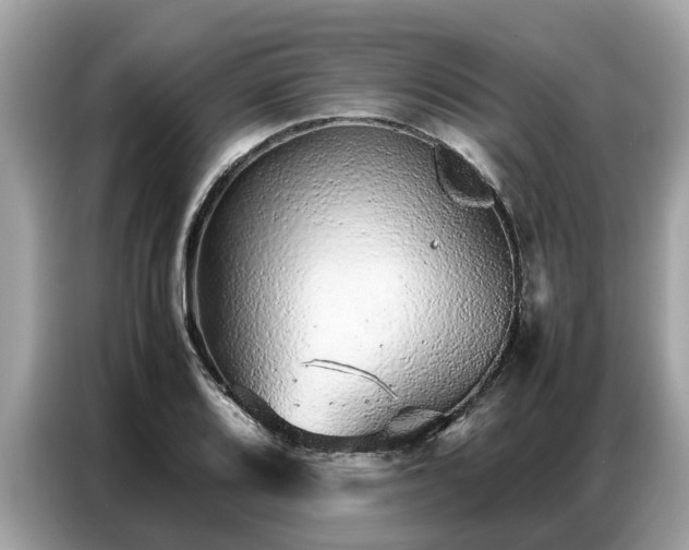 X0000087361080200704271433